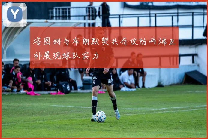 塔图姆与布朗默契共存攻防两端互补展现球队实力